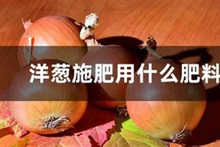 洋葱用什么肥料能使洋葱生长快