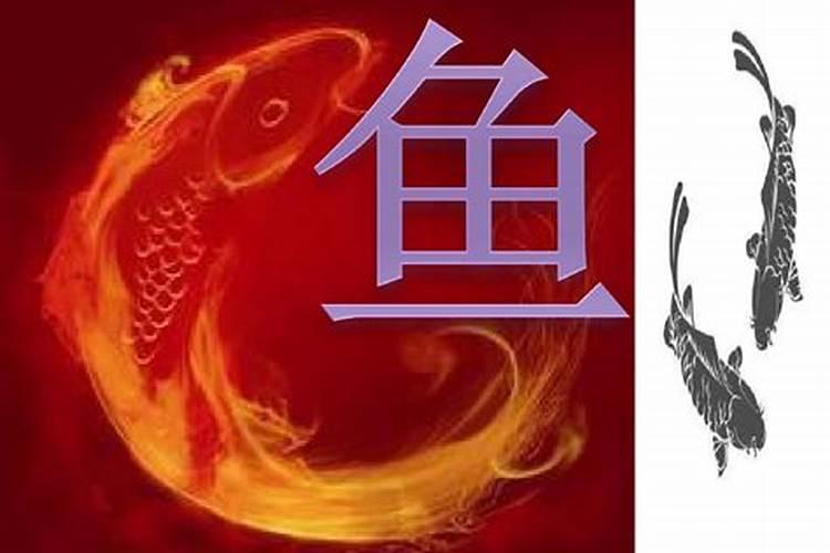 汤臣倍健鱼蛋白特点