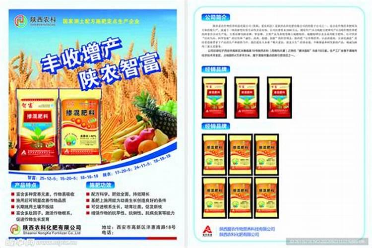 请问坟头上经常种植的植物是一种什么花