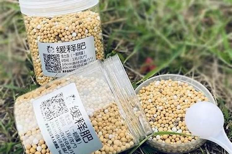 你知道刘晓庆在北京的别墅有多大？