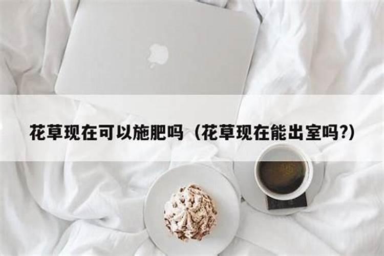 叶面肥隔几天喷一次最合适
