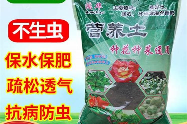想问一问,盆栽蓝莓怎样施肥增加甜度和大小