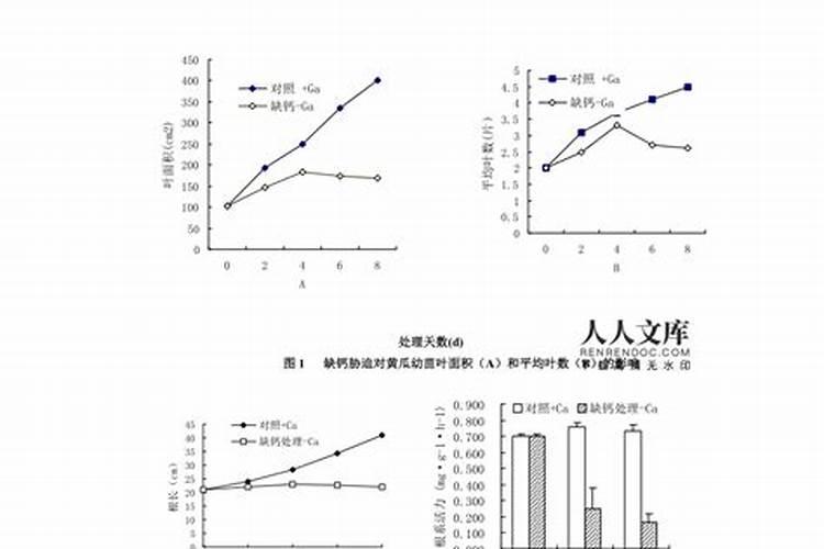 石灰放在土壤里对幼苗有影响吗