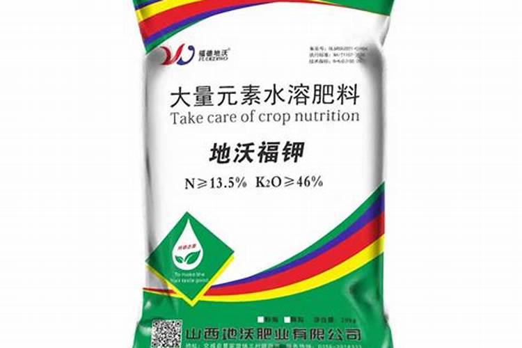 文竹叶子发黄怎么挽救 常见原因及处理方法