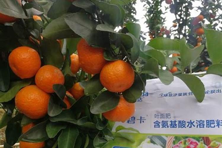 氨基酸水溶肥的危害