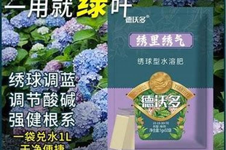 绣球花好养活吗