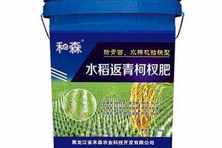 碗莲里长青苔了,如何处理,急!!