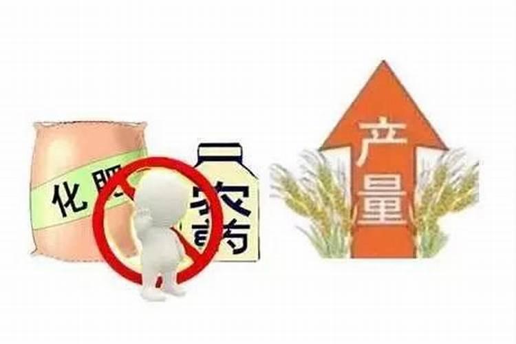为了保护环境禁上使用农药和化肥是否正确