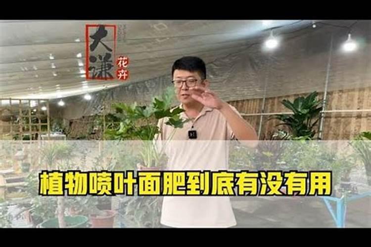 福建清大生态有机肥有限公司怎么样？