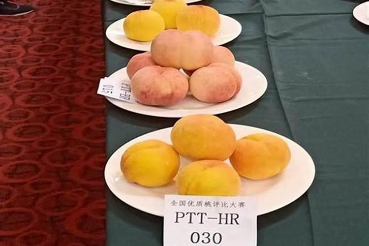 植物缺钾怎么补充？用什么肥补钾效果好？