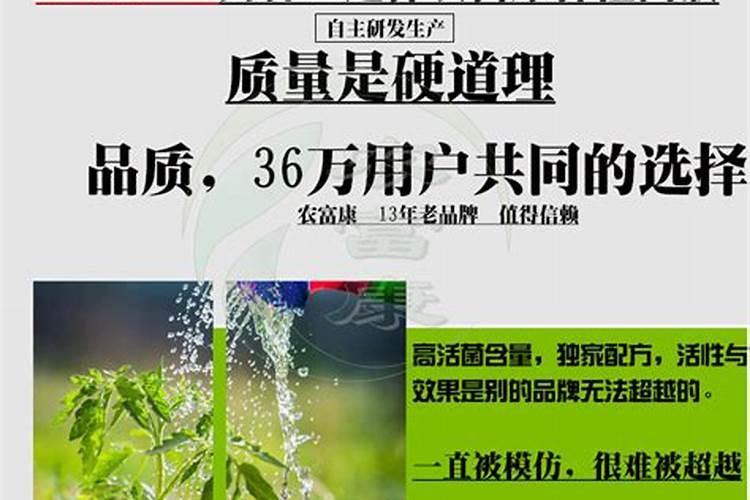 大棚西红柿啥时期冲施高磷肥？