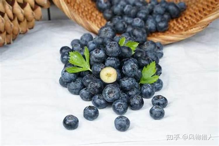 水溶肥正确的施用方法有哪些