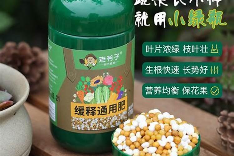 水草缸绿斑藻怎么去除