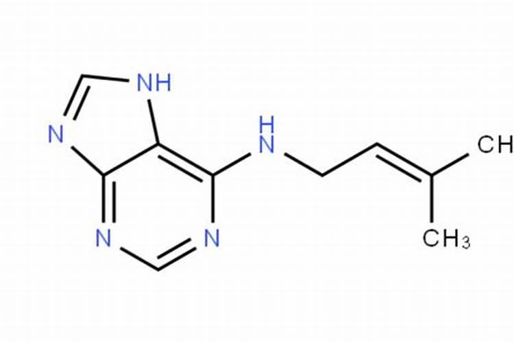 冬枣有几次膨大期冬枣膨大期怎样管理才是最好的