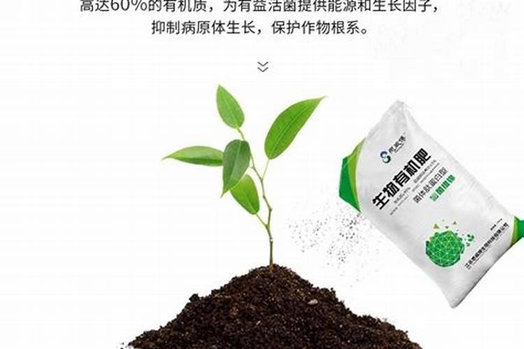 有机肥保质期多少时间