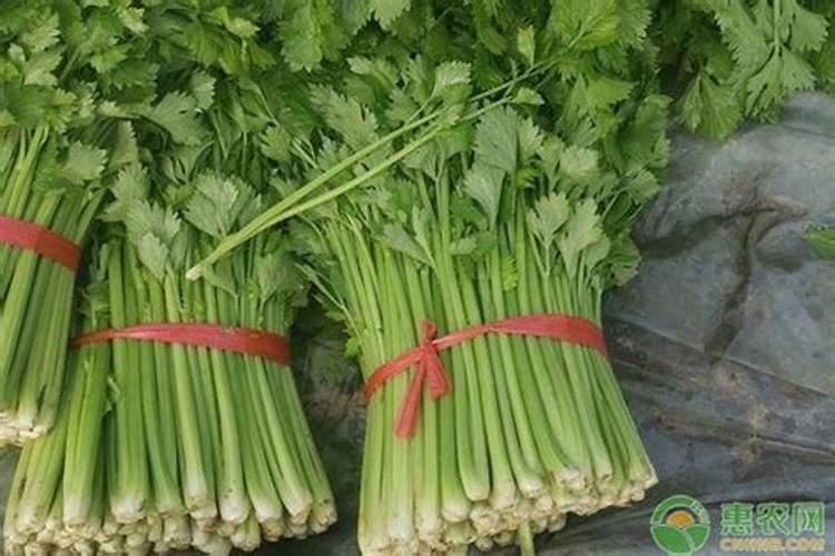求芹菜种植管理的施肥方案