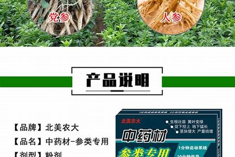 苦参麻栎树是一种树还是植物