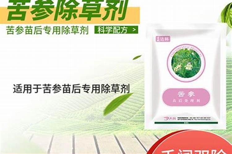 苦参三年一年亩收入