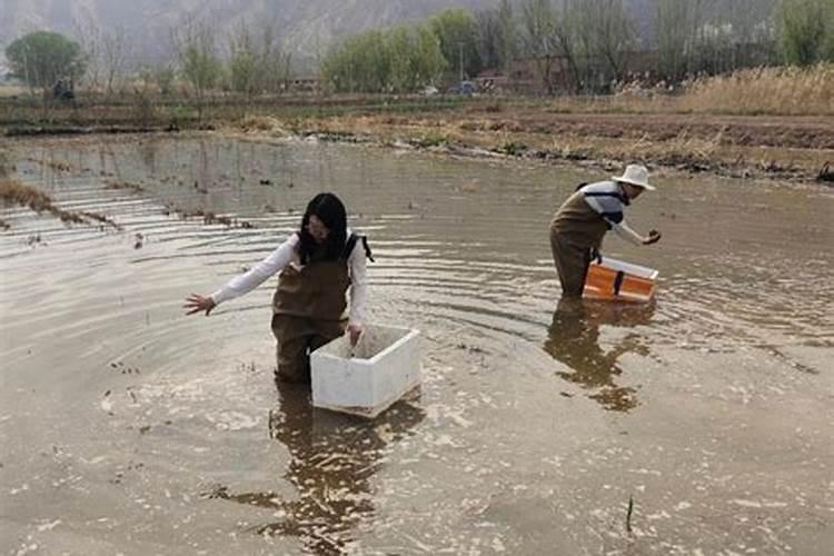 谁知道水产专用肥制造方法