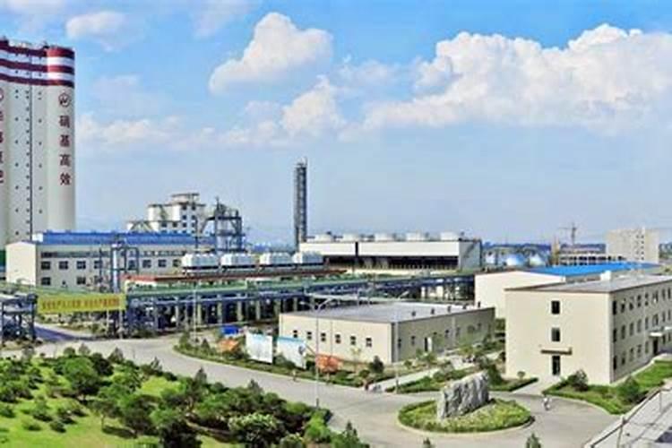 什么冲施肥最好