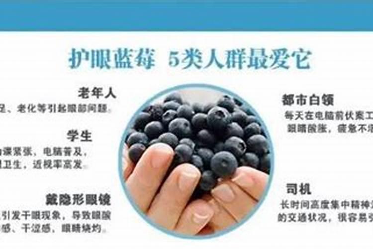 蓝莓用什么鱼蛋白好