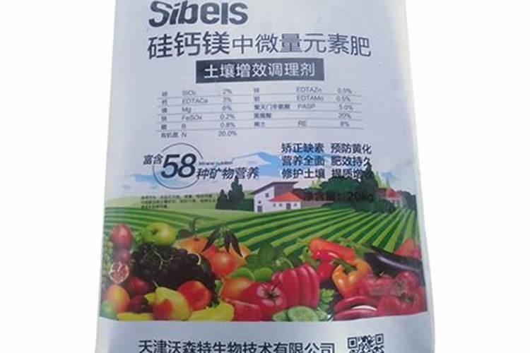 种植丹参用什么肥料最好