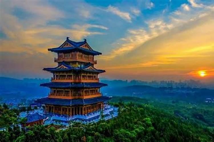 金桔用什么肥料