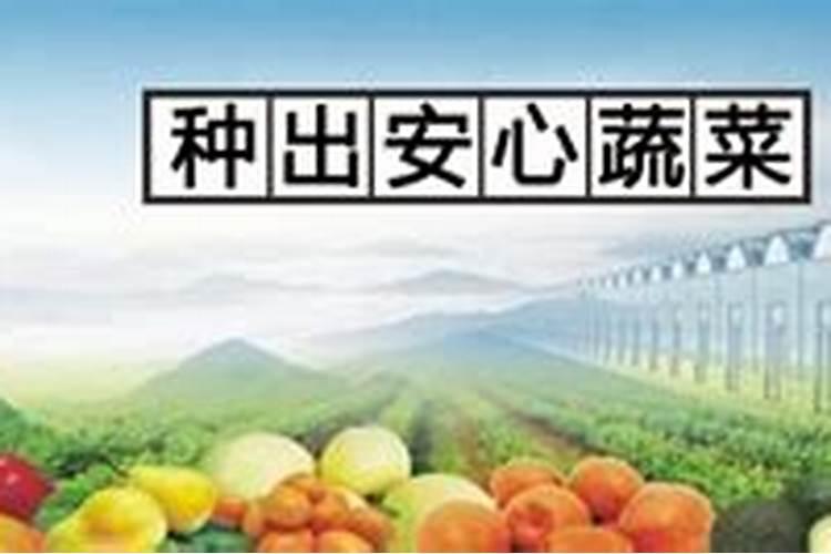 种蔬菜用什么复合肥
