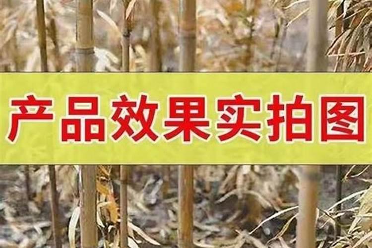 杂草发酵腐烂后有哪些营养成分？