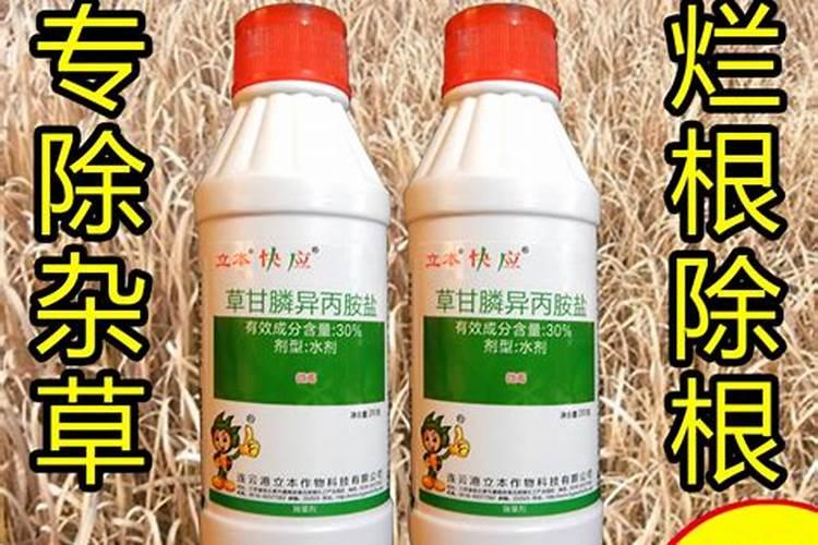 最厉害的烂草根除草剂