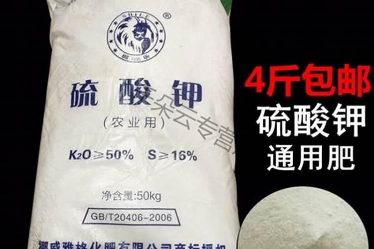 种青菜用什么肥料长得好