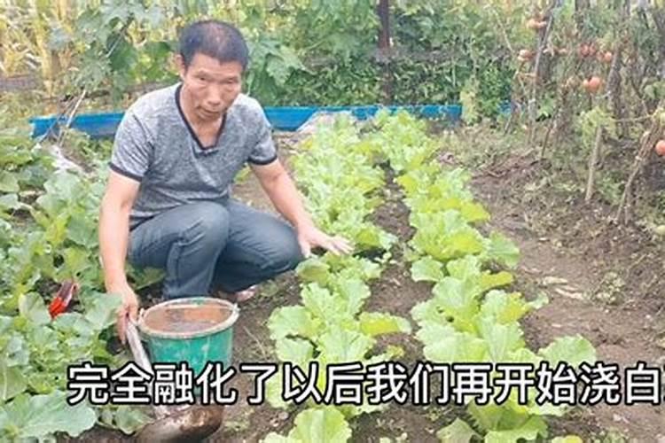 桃树花前施用什么肥料？