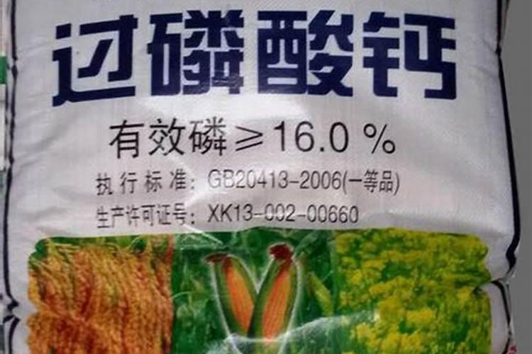 给茉莉花叶子喷水什么时候喷好