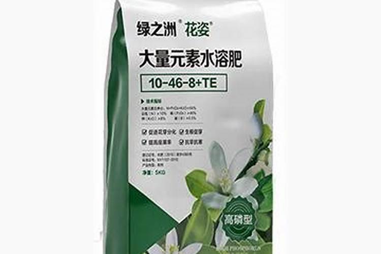 第一年葡萄小苗施什么肥