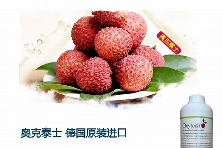 荔枝树施什么肥