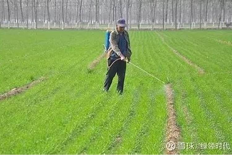 麦田除草剂可以加叶面肥吗