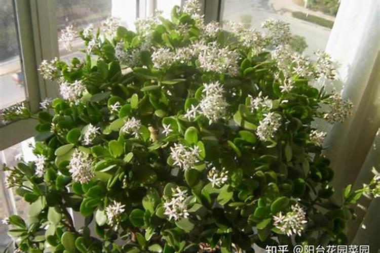 液体肥料氮磷钾的检测方法