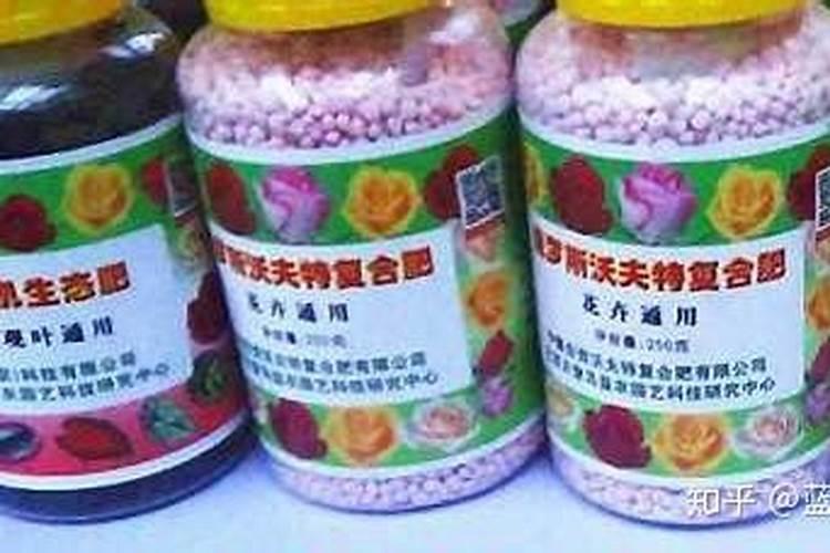 兰花如何用硼肥
