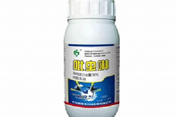 果苗喷了叶面肥多久才能,再喷杀虫杀菌药