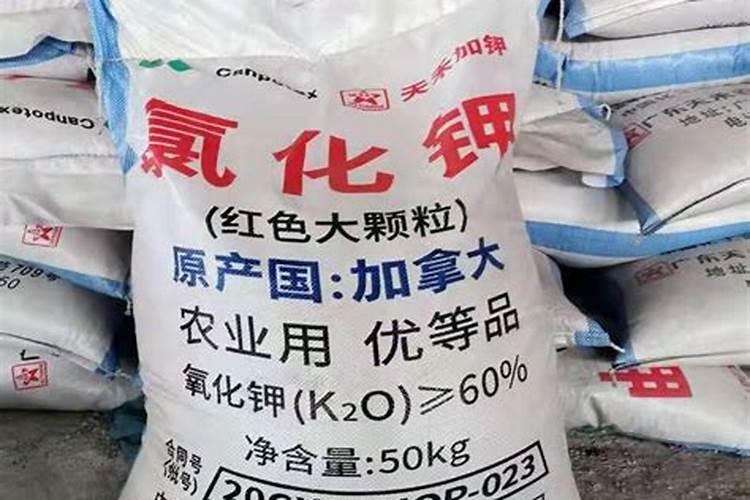 进口俄罗斯钾肥必须具备哪些标准才是正宗的钾肥