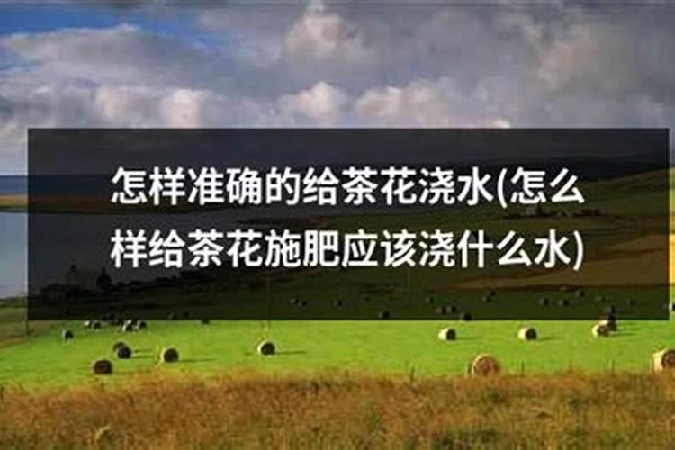 鸡蛋壳和橘子皮可以一起泡水沤肥吗鸡蛋壳做肥料适用于哪些花卉百度知 ...