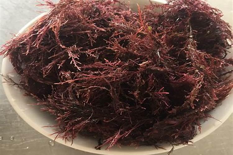 海毛菜熬冻的方法