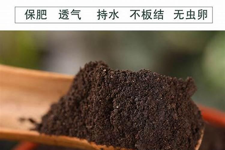 现在草莓用什么肥最好