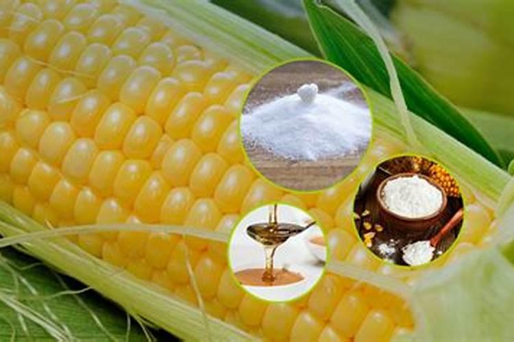 玉米专用肥料什么品牌的好？