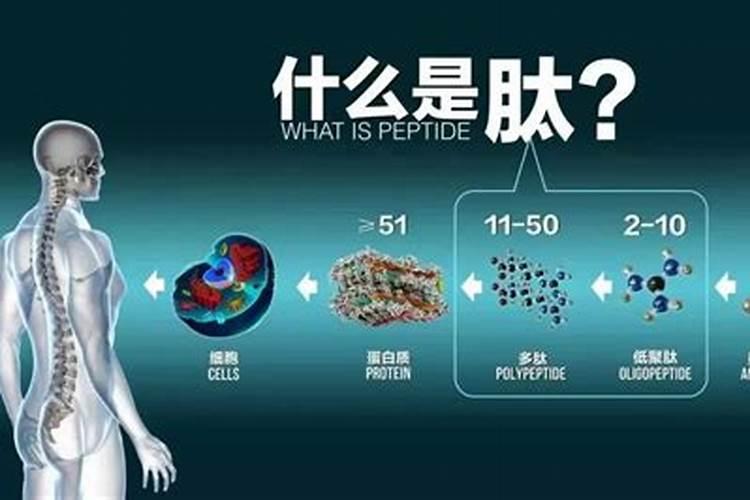 糖醇钙给葡萄上肥是什么作用