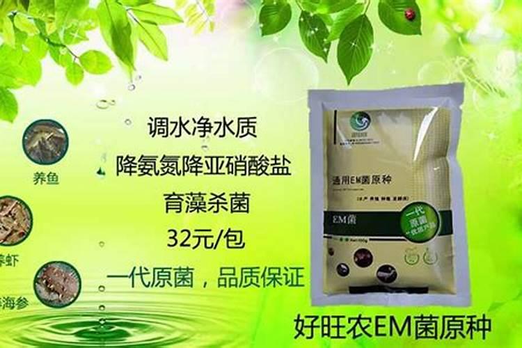 苹果树七月中下旬应该怎么使用膨大肥？