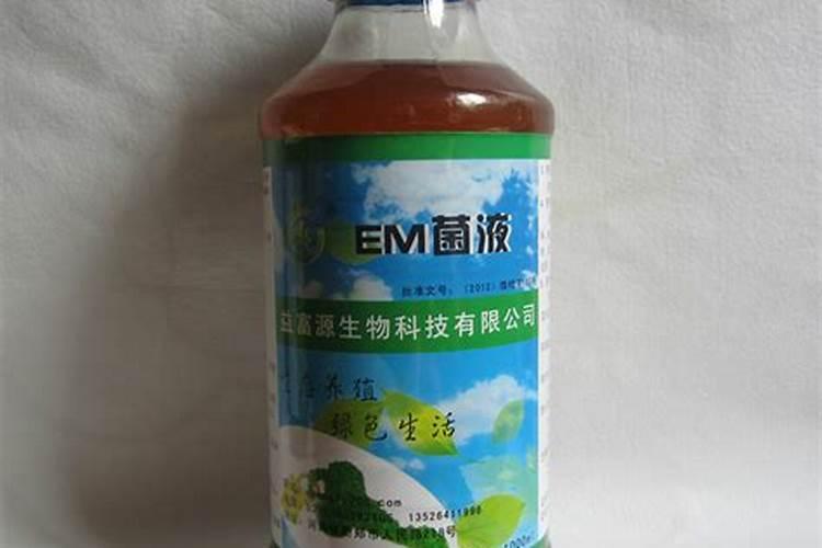 养林蛙可以用EM菌吗,怎样用