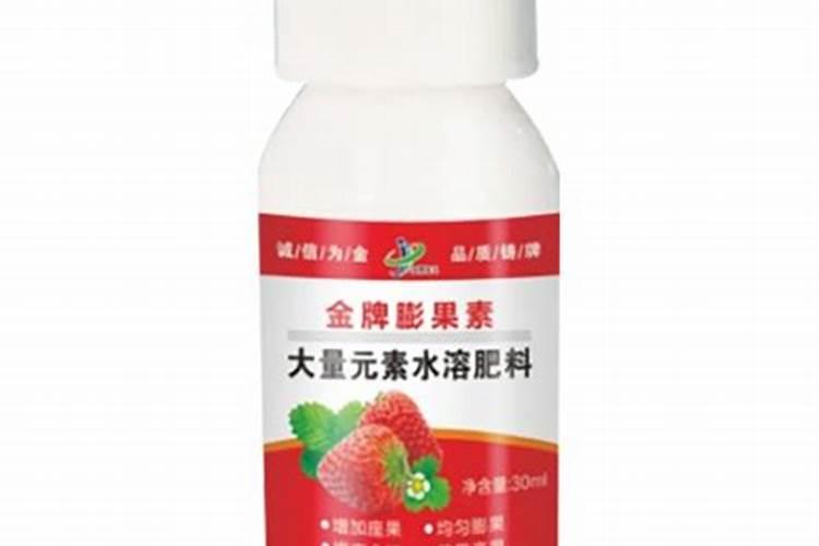 发财树如何养根根系粗壮