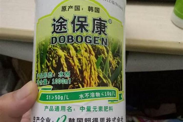 柑橘幼树施肥方法和注意事项