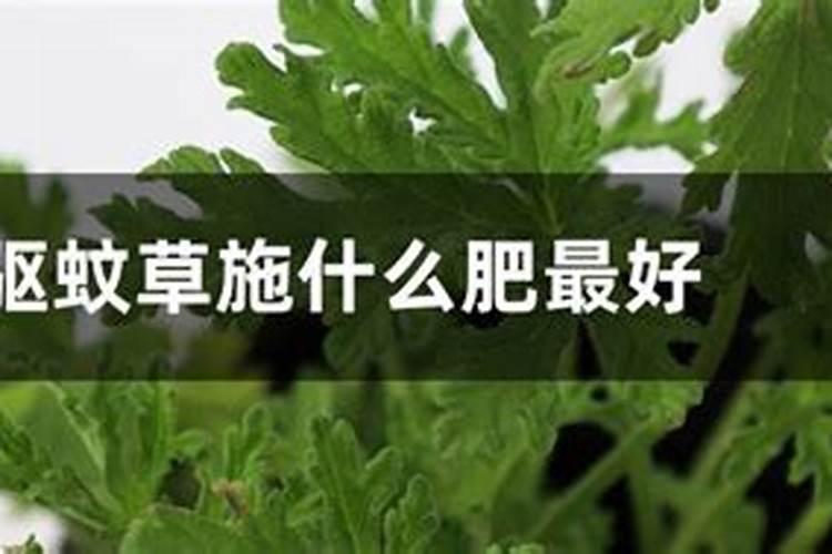 都说草木灰是好钾肥,那在施用时要注意什么？